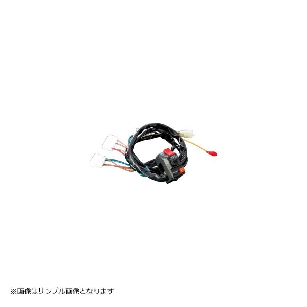 ACTIVE(アクティブ) スイッチASSY ZX11 D3-D6 1387327