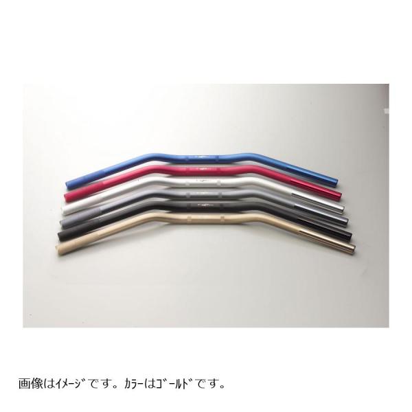 ACTIVE(アクティブ) ROAD アルミハンドル ショットゴールド LOWタイプ 6080103...