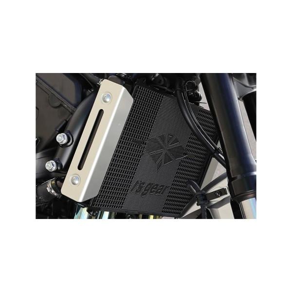 アールズギア ラジエターコアガードL ブラック CB1000 HORNET/SP CB1000F A...