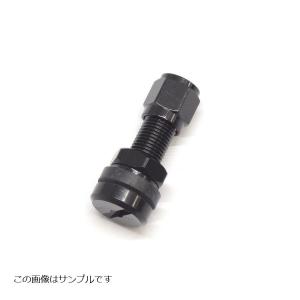 GALE SPEED (ゲイルスピード) スプロケット 520-43T ブラック GALE SPEED (ゲイルスピード) スプロケット 520-43T ブラック