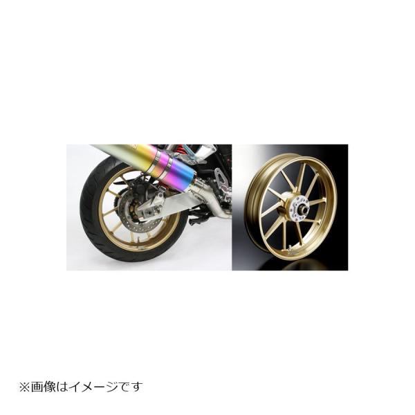GALE SPEED (ゲイルスピード) R 500-17 ゴールド TYPE-R SV650(AB...