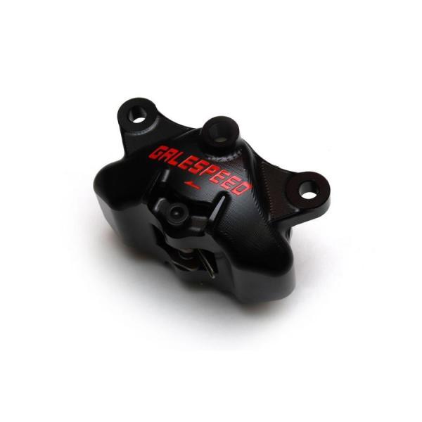 GALE SPEED (ゲイルスピード) エラボレート リアキャリパー Φ34 SCMボルト仕様 ア...