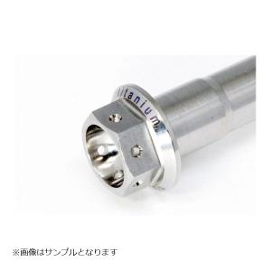 GALE SPEED (ゲイルスピード) チタン フランジボルト レーススペック M10x1.25 40mm SH1012540S｜plotonlinestore