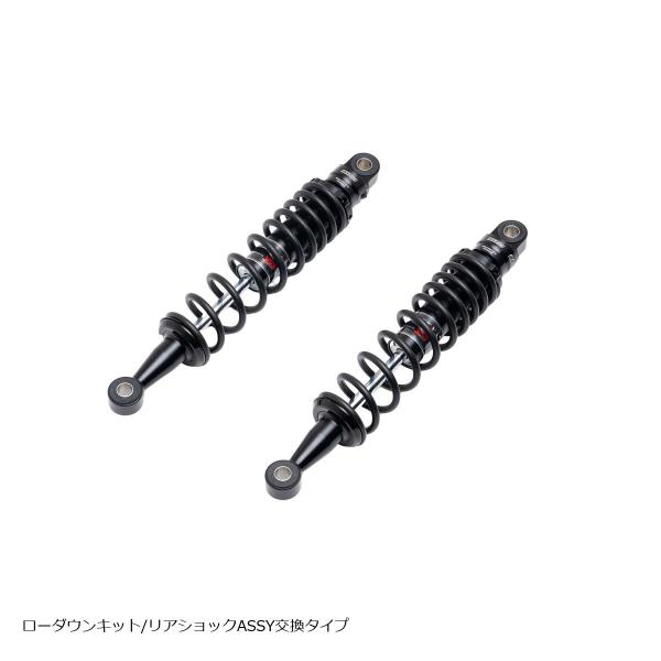 EFFEX (エフェックス) ローダウンキット 約20mmダウン ブラック/ブラック CL250 P...