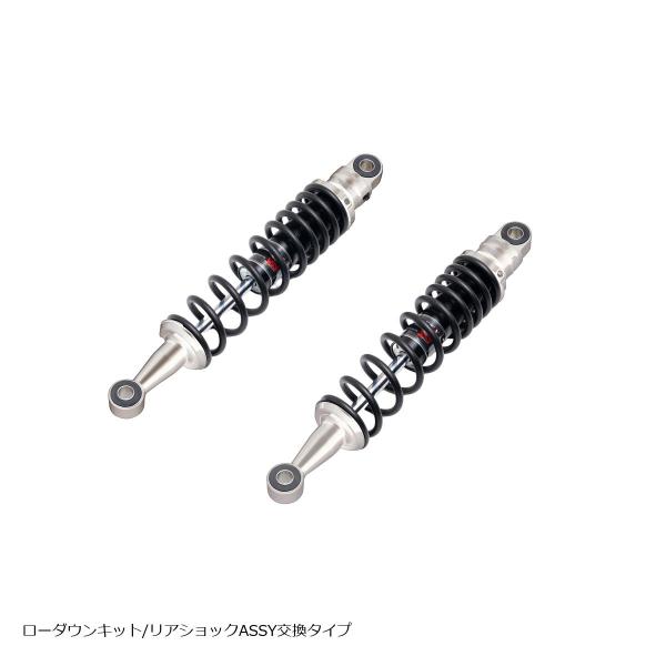 EFFEX (エフェックス) ローダウンキット 約20mmダウン シルバー/ブラック CL250 P...
