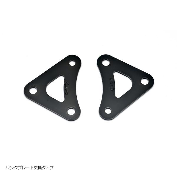 EFFEX (エフェックス) ローダウンキット 20mmダウン GSX-S1000 GSX-S100...