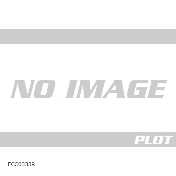 R&amp;G (アールアンドジー ) LHS crank＆waterpump cover MT-09/SP...