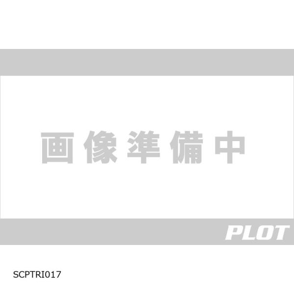 R&amp;G (アールアンドジー ) R＆G セカンドスキン TIGER900GT/PRO RG-SCPT...