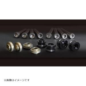 CBS-K01 サンスター 320mm カラー＆延長ボルトセット Z900RS 4589718993935.jpg