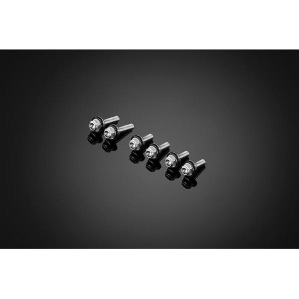 BIKERS (バイカーズ) スクリーン用ステンボルトセット ZX-25R ブラック