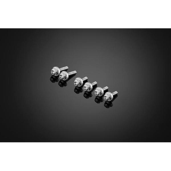 BIKERS (バイカーズ) スクリーン用ステンボルトセット ZX-25R シルバー