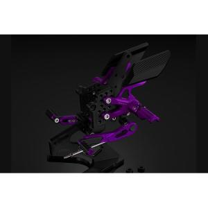 KN企画 YZF-R25・YZF-R3 RCB 鋳造ホイール前後セット SP522（ゴールド