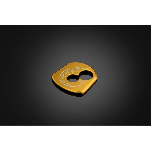 BIKERS (バイカーズ) キースイッチカバー ライトゴールド XSR125 Y0214-LGD