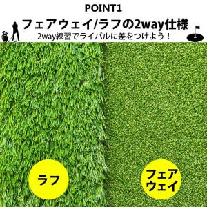pltstore2way アプローチマット パ...の詳細画像5