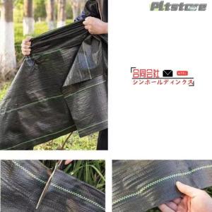 pltstore草 草除け 2m×100m 除...の詳細画像3