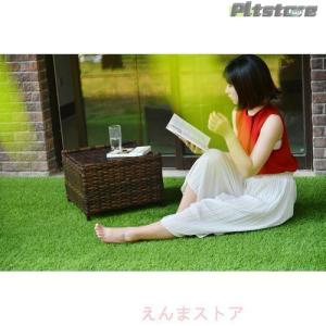 pltstore人工芝 ロール 1m×10m ...の詳細画像1