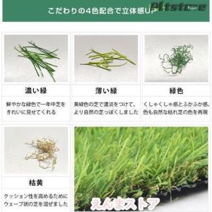pltstore人工芝 ロール 1m×10m ...の詳細画像2
