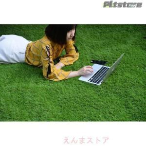pltstore人工芝 ロール 1m×10m ...の詳細画像4