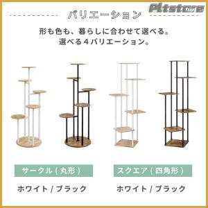 pltstore【2026新作花台】フラワース...の詳細画像3