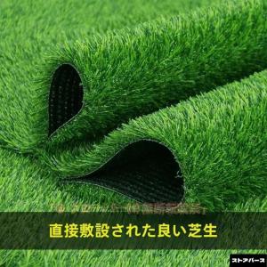 pltstore人工芝 ロール 1m×10m 人...の商品画像