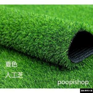 pltstore人工芝 ロール 1m×10m ...の詳細画像1