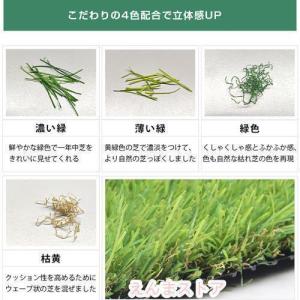 pltstore人工芝 ロール 2m×10m ...の詳細画像2