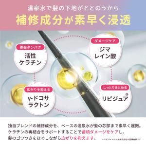【新シリーズ】bonparme ボンパルム ボ...の詳細画像5