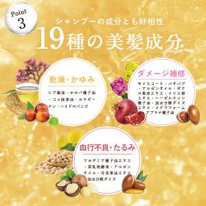 fuettarich フエッタリッチ モイスト...の詳細画像4
