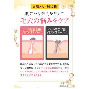 プルエスト PLUEST クレンジングジェル ...の詳細画像3