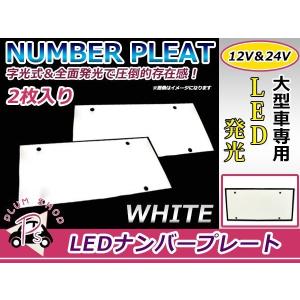 大型車 トラック ダンプ 12V 24V LED 字光式 ナンバープレート 2