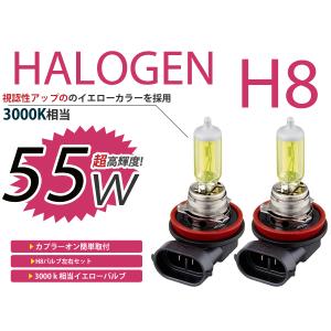 デリカ D5 CV5W デイライト アンバー ブルー LEDバルブ H11