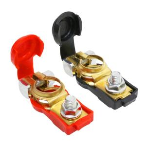 バッテリー ターミナル D端子 大 10mm 10ミリ プラス マイナス