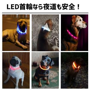犬 首輪 光る LED 長さ調節 散歩 事故防...の詳細画像2