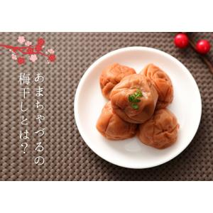 梅干し うめぼし 訳あり つぶれ梅 紀州南高梅...の詳細画像3