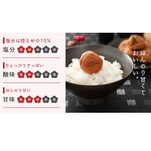 梅干し うめぼし 訳あり つぶれ梅 紀州南高梅...の詳細画像4
