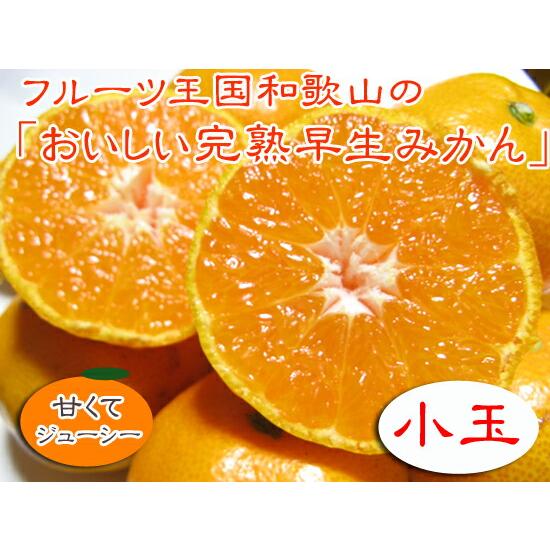 【季節限定】フルーツ王国和歌山の早生みかん（小玉S）５ｋｇ