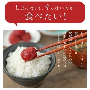 梅干し 無添加 訳あり 昔ながらの梅干し【お得...の詳細画像2