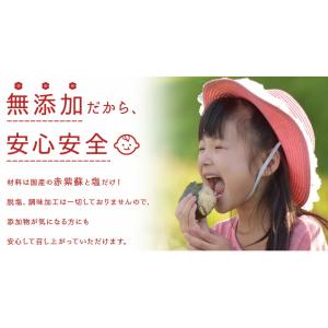 梅干し 無添加 訳あり 昔ながらの梅干し【お得...の詳細画像3