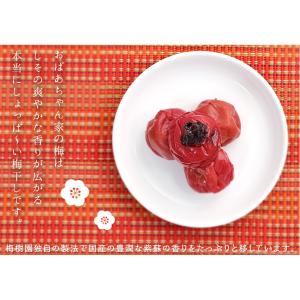 梅干し 無添加 訳あり 昔ながらの梅干し おば...の詳細画像3
