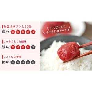 梅干し 無添加 訳あり 昔ながらの梅干し おば...の詳細画像5