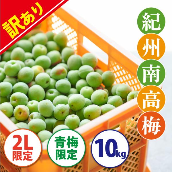 青梅  訳あり青梅 紀州南高梅 10kg [2Lサイズ青梅のみ］　送料無料(一部別途) 梅シロップ　...