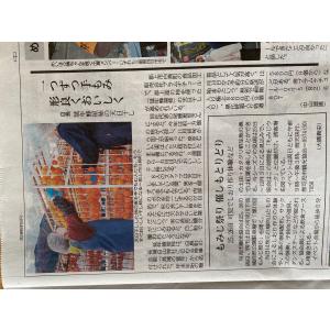 延年蜂屋柿 極上 桐箱 9個入りの詳細画像5