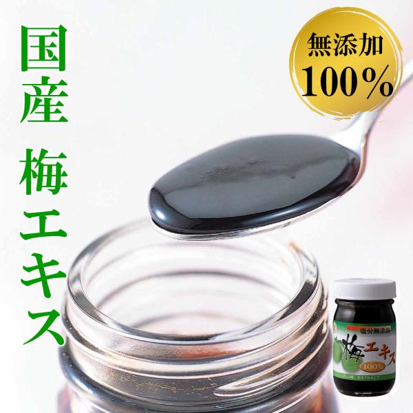 国産 梅エキス 濃縮原液 どろっと濃厚 無添加 80g クエン酸たっぷりの自然食品