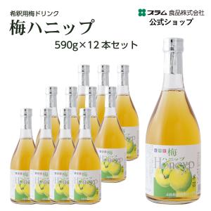 プラム食品 完熟梅ハニップ 590g×12本 梅シロップ 希釈用梅ドリンク
