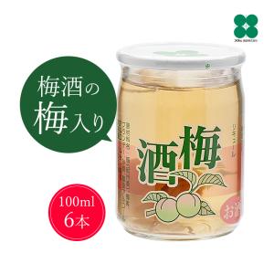 プラム食品 完熟梅ハニップ 590g×12本 梅シロップ 希釈用梅ドリンク