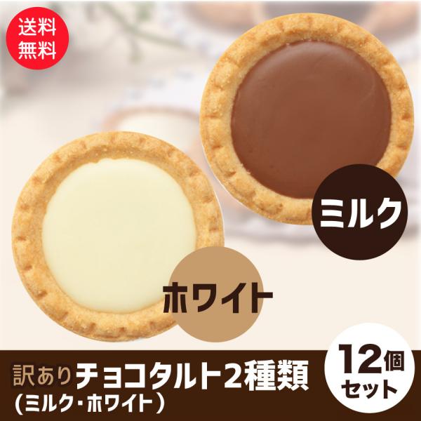 訳あり 老舗洋菓子屋 チョコタルト 2種 12個セット ミルク ホワイト  送料無料 ポスト投函便 ...