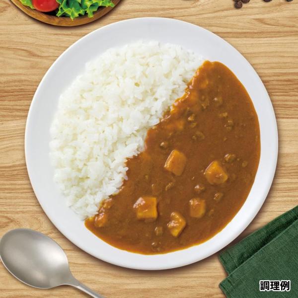 デリシャスカレー　中辛 2袋セット カレー 大阪 ハチ食品　送料無料　ポスト投函便　ポイント消化 ペ...