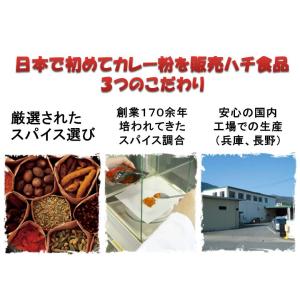 大阪名物 ハチ食品 レトルトカレー 5種類から...の詳細画像1