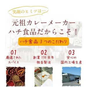 4袋セット 大阪名物 レトルトカレー ハチ食品...の詳細画像2