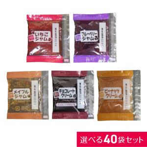 小袋 ジャム クリーム 40袋 5種類 600ｇ 1000円ポッキリ 送料無料 ポスト投函便 いちご ブルーベリー メープル チョコ ピーナッツ